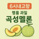 곡성멜론 주식회사 이미지
