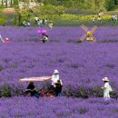 동해시-9 이미지