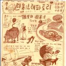 고바우 Daum카페
