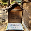 솔향수목원(전시온실) | 강릉 가볼만한 곳, 솔향수목원 힐링 산책 후기 (강릉시 선정 핫플레이스)