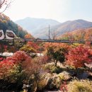 서울에서 40분 단풍 400여 종, 色을 만끽한다(화담숲 축제) 이미지