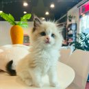 오늘도 골프 이미지