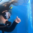 젠틀리조트 이미지