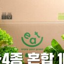 수샐러드 이미지