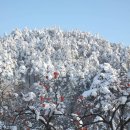 삼척자동차학원