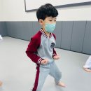 다오름태권도장 이미지