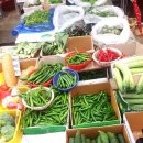 은아상회 이미지