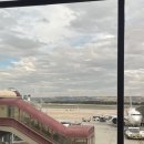 르모이네일 | 202502 폴란드 바르샤바 layover 03 마지막