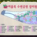 연기면_세종보 입구 네이버블로그