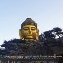 심학초교(병설) 이미지