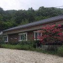 제추골 황토펜션 네이버블로그