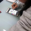 싹난지팡이 이미지