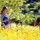 지리산생태체험단지 이미지