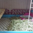 원칸통상 이미지