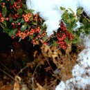 함평자연생태공원 이미지