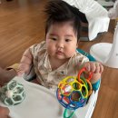 엄마의 주방 | 괴산군 장난감도서관 완전 정복! 4개월 아기 엄마의 솔직 후기