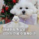 연두네놀이터
