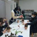 힐링아트문화생활협동조합 이미지