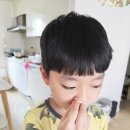 다가코가 이미지