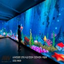 썸오브젝트 이미지