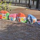 도시고양이생존연구소 이미지