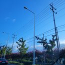 아포1급종합정비 이미지