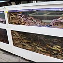 천지보석사우나 이미지