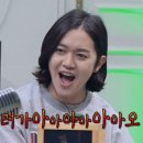 섬마을세꼬시 이미지