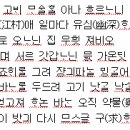 방랑시인김삿갓 / 명국환 이미지