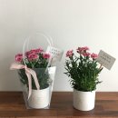 가호동13 이미지