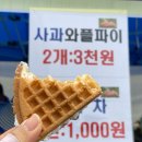 유희농장 | 정선사과축제 현장스케치 통기타 공연과 사과 맛집