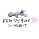 마딘베이커리 | 남양주 반려견 입장료 없는 애견 동반 카페 수동 카페 마딘 야외 잔디 마당 솔직 후 기 내돈내산[다견이들]