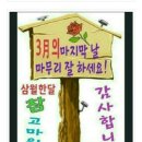 장흥 1리 이미지