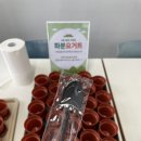 신영에프엔디