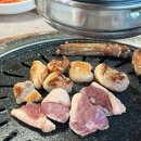 성주돈오리