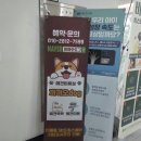 도그185 강아지미용실 | 강아지 미용실 추천 부탁드려요 까까오도그 파주운정점 강아지 미용 유목민