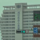 강릉 세인트존스 호텔 100% 즐기기 꿀팁 / 아기랑 룸서비스 인피니티풀 후기