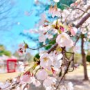 구드래 주차장 화장실 이미지