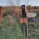 쌈지거제 이미지