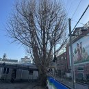 광주현대농장 이미지