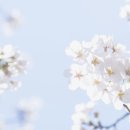 전통한국무용 이미지