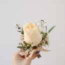 플레플레르