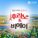 [투어할인]9월 투어 1인당 7만원 이미지