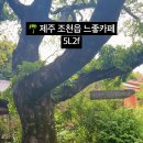 카카오 이미지