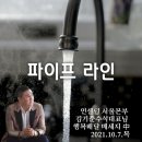 인셀덤 뷰티라인 이미지
