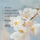 에스더 9:1-16방어적 승리에서 완전한 승리까지 이미지