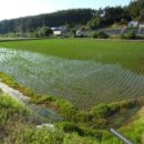 산후1리 다목적회관 이미지