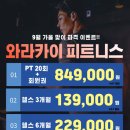 와라카이 - 3511 | 와라카이
