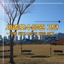 호수공원7 무대섬 | 세종호수공원 나들이 2탄 (은빛 해변/푸른 들판/물놀이 섬/매점 위치)