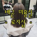 배곧 미용실 맛집 로지샵 탈색 애쉬그레이 염색 내돈내산 후기